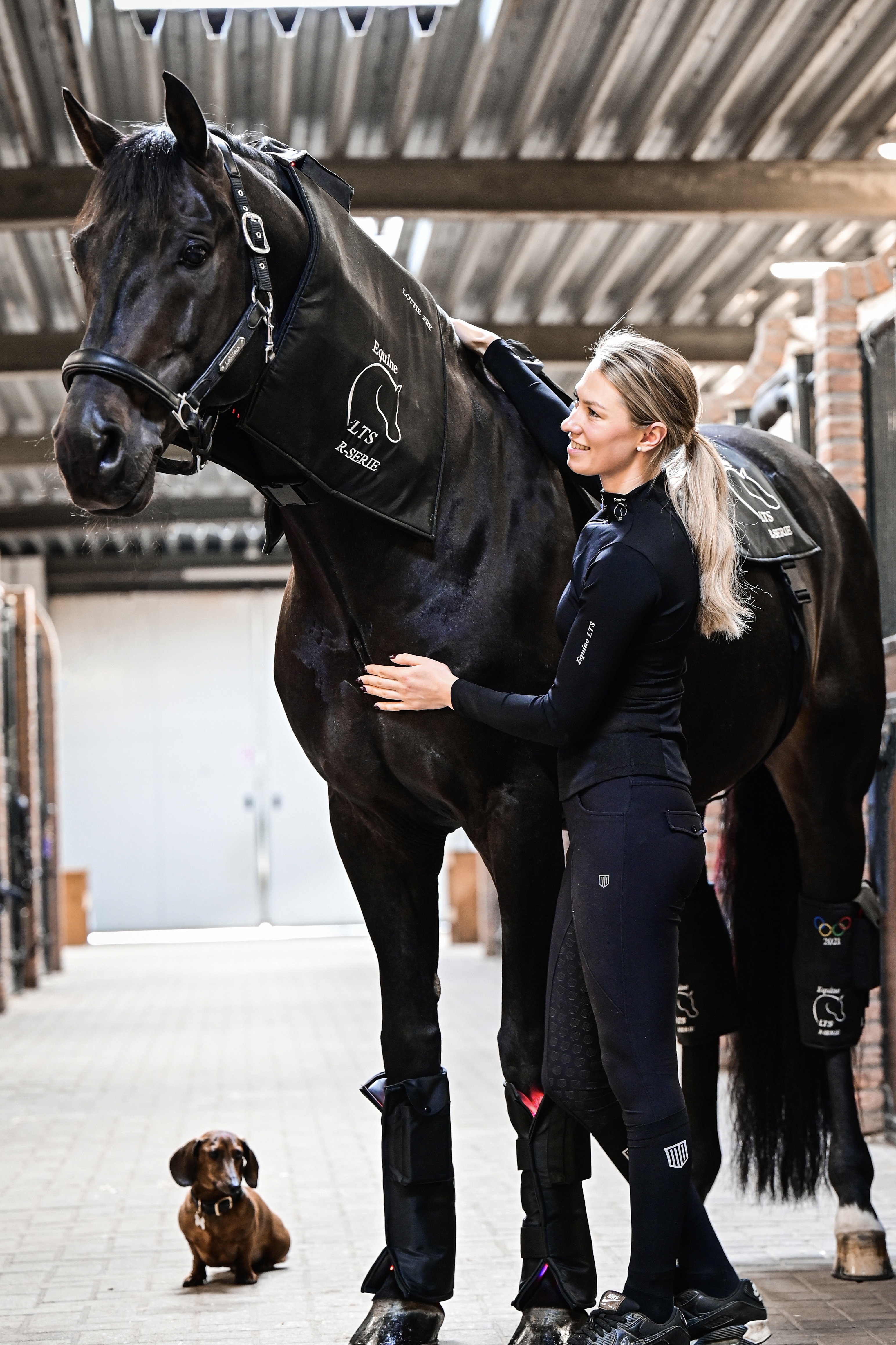 All Equine LTS products