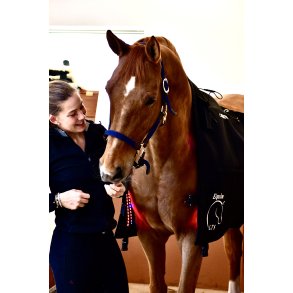 Premium LTS products