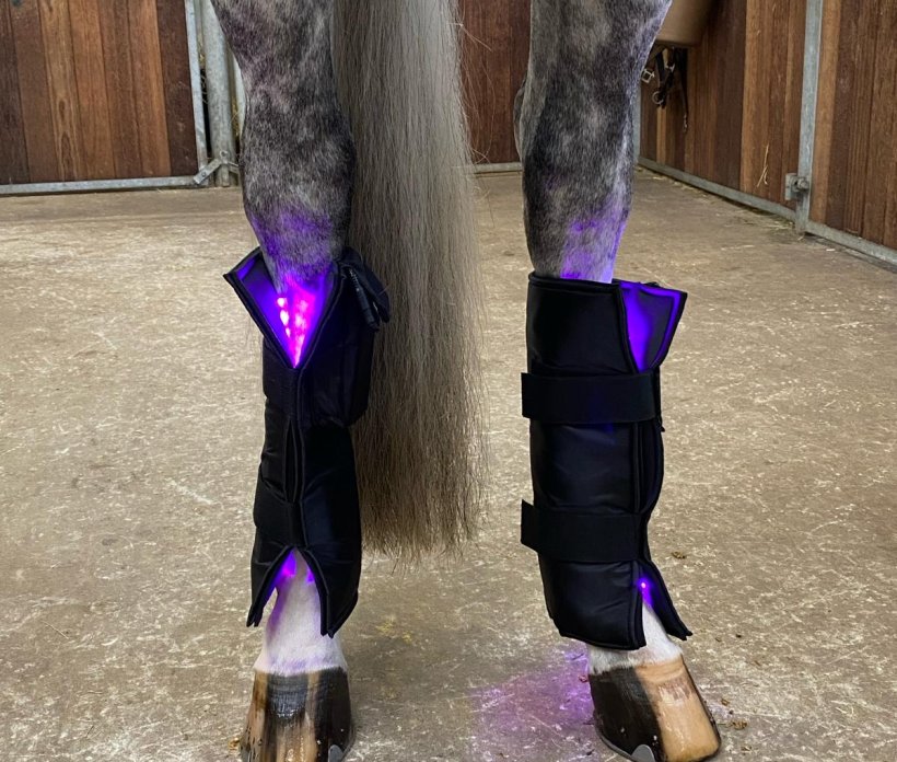Equine LTS 3.0 - Kaufe 1, Erhalte 1 Gratis