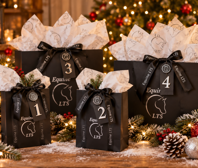 A Christmas Gift for You & Your Horse ❤️