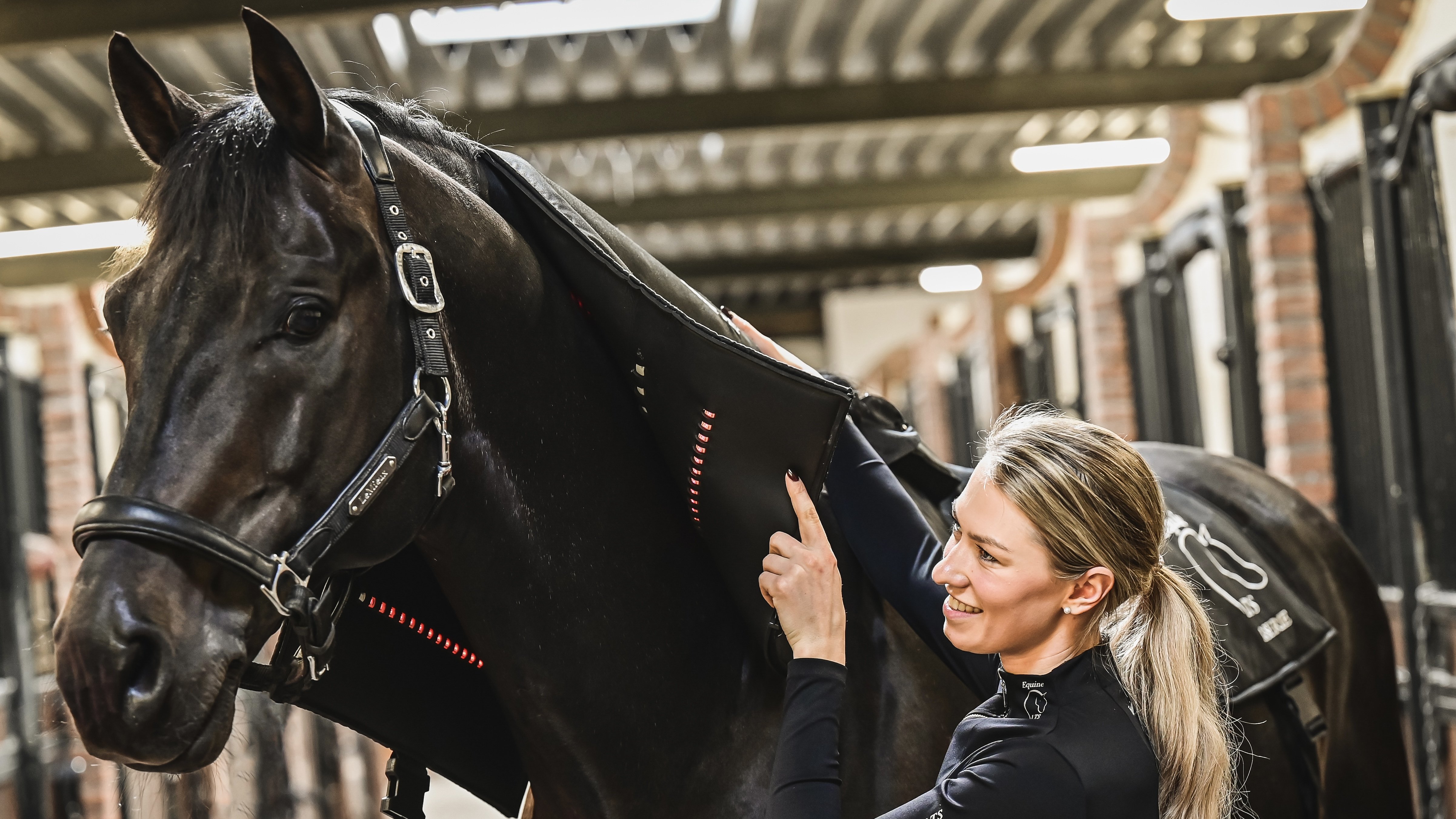 Lottie Fry Equine LTS