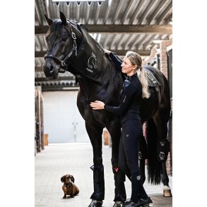 All Equine LTS products