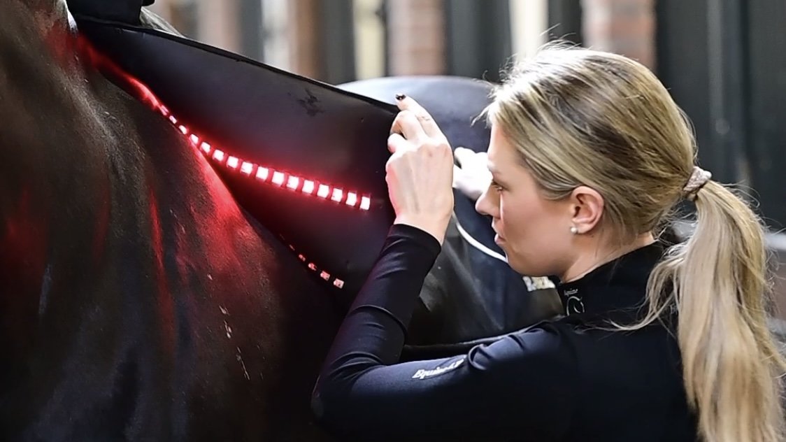 Lottie Fry Equine LTS