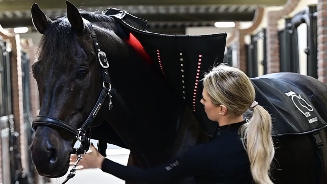 Lottie Fry Equine LTS