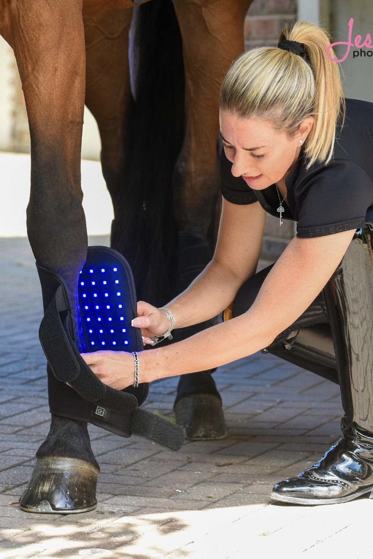 Equine LTS Leg Wraps Equine LTS