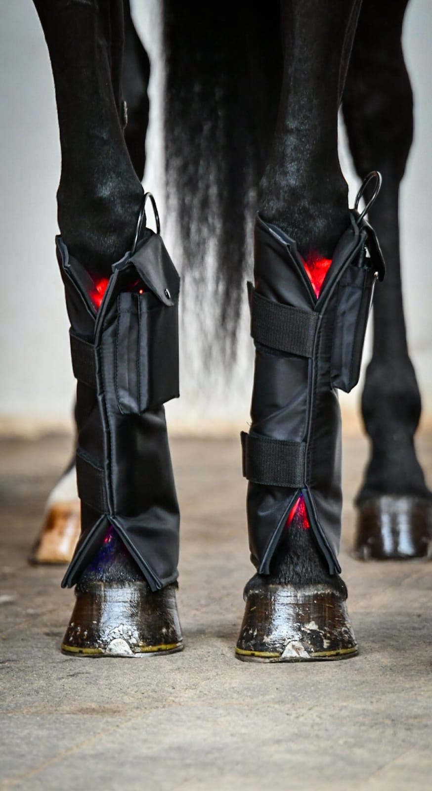 Equine LTS Leg Wraps