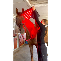 Equine LTS R-Serie Mini Pro &amp; 1 pcs Equine LTS 3.0 Bundle