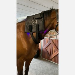  2 Adjustable elastic belt w. Velcro.