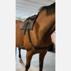  2 Adjustable elastic belt w. Velcro.