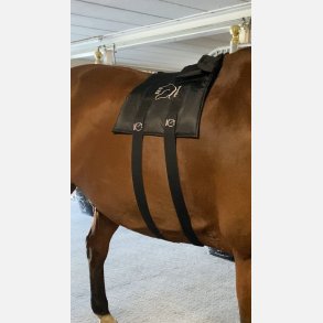  2 Adjustable elastic belt w. Velcro.