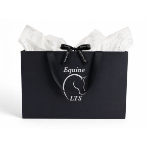 LTS Gift Bag
