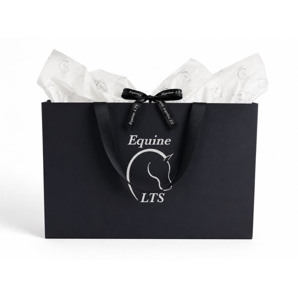 LTS Gift Bag