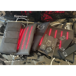 Danish Dressage Championship Bundle