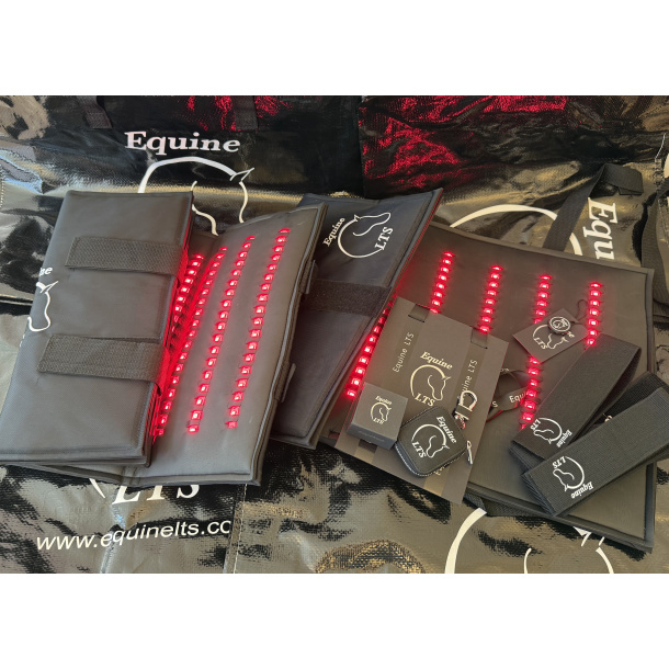 Danish Dressage Championship Bundle