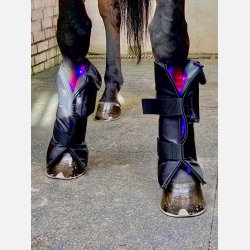 1 Equine LTS Supreme &amp; 2 elastic belts w/velcro 