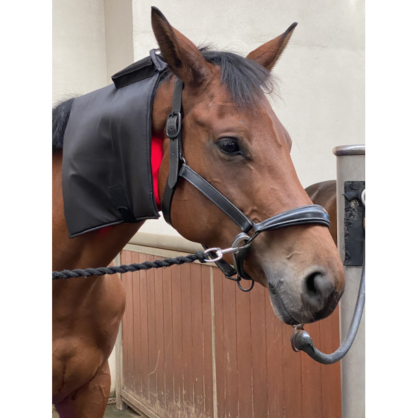Equine LTS R-Serie Mini Pro 