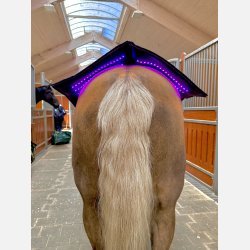 The NEW Topline &amp; 2 Red Edition