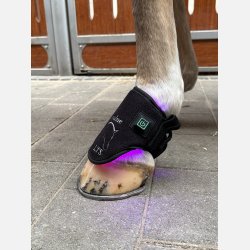 LTS Versatile 2.0 &amp; Elastic band