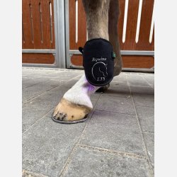 LTS Versatile 2.0 &amp; Elastic band