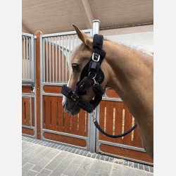 LTS Versatile 2.0 &amp; Elastic band