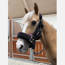 LTS Versatile 2.0 &amp; Elastic band