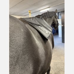 The NEW Topline &amp; 2 Red Edition