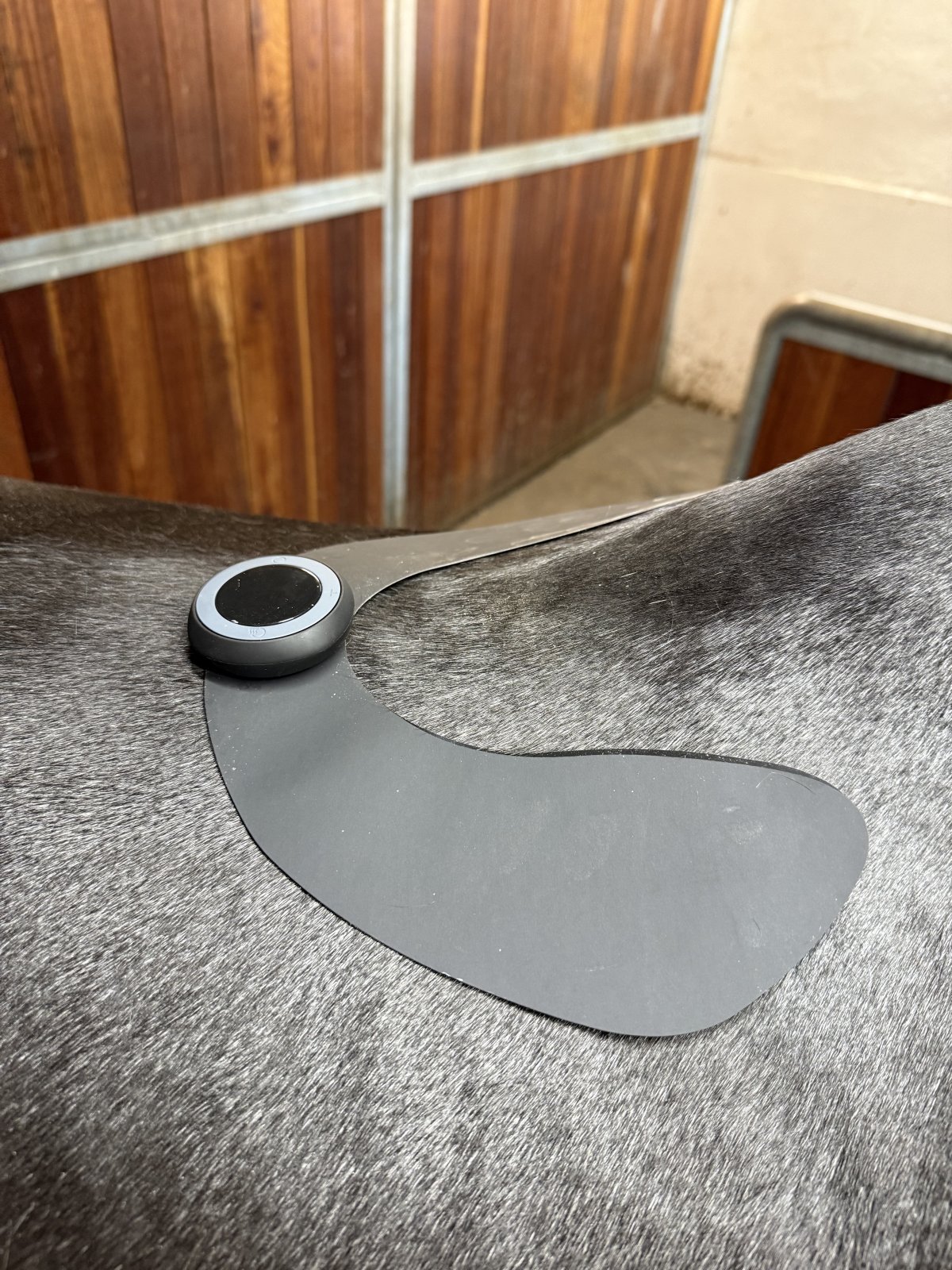 Extra pad for TENS, Large - All Equine LTS products - Equine LTS