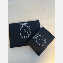 LTS TENS small &amp; large pad