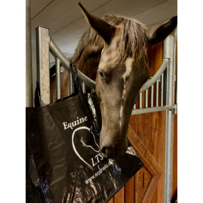 Large Equine LTS storage bag