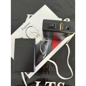 1 pcs. Small Rechargeable Battery 12V