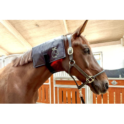 Equine LTS R-Serie Mini Pro