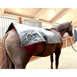 Equine LTS Topline Action