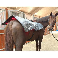 Equine LTS Topline Action