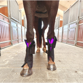  Equine LTS 3.0  Buy One, Get One for FREE (incl 2 pieces of elastic belts)