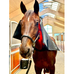 Equine LTS Topline Action