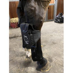 LTS I-Serie Recovery