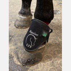 LTS Versatile 2.0 &amp; Elastic band