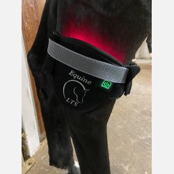 LTS Versatile 2.0 &amp; Elastic band