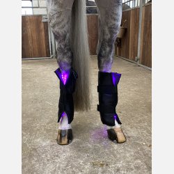  Equine LTS 3.0  Buy One, Get One for FREE (incl 2 pieces of elastic belts)