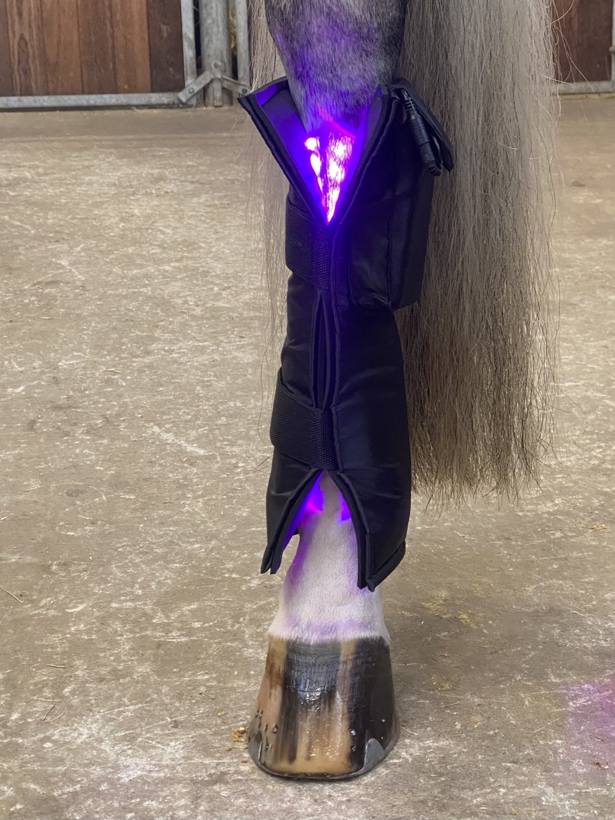 Equine LTS 3.0 Equine LTS Leg Wraps Equine LTS