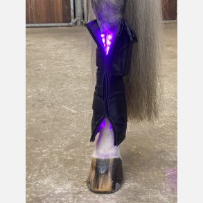 Equine LTS 1 piece 3.0 & 2 adjustable elastic belts w. velcro. 