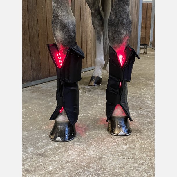 2 stk Equine LTS NEW RED EDITION