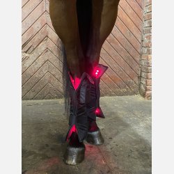 1 piece Equine LTS NEW RED Edition &amp; 2 pieces of adjustable elastic belts w. velcro. 