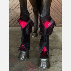 1 piece Equine LTS NEW RED Edition &amp; 2 pieces of adjustable elastic belts w. velcro. 