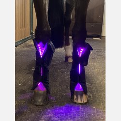 A pair of Equine LTS Supreme &amp; 2 elastic belts w/velcro