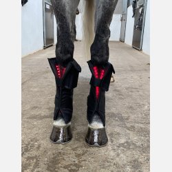 1 Equine LTS Supreme &amp; 2 elastic belts w/velcro 