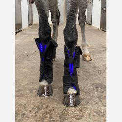 A pair of Equine LTS Supreme &amp; 2 elastic belts w/velcro