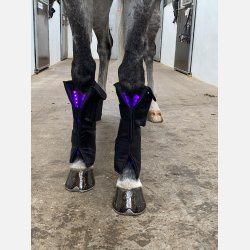 A pair of Equine LTS Supreme &amp; 2 elastic belts w/velcro