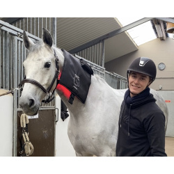 Danish Dressage Championship Bundle