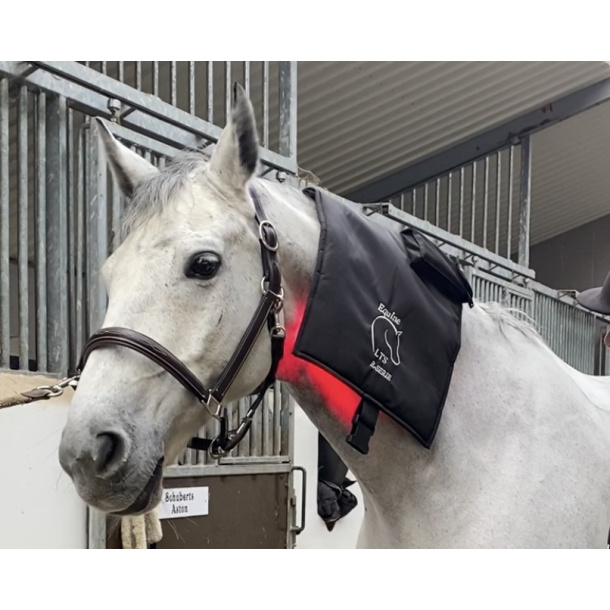 Complete Care Bundle